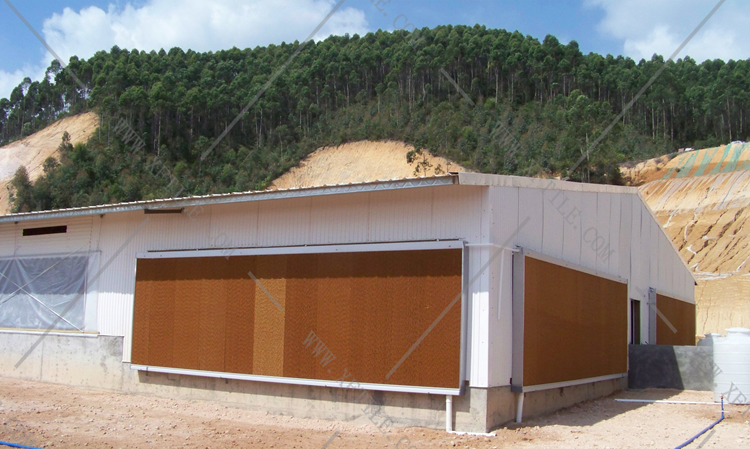 還在為廠房的墻體煩惱嗎？使用星發(fā)優(yōu)質墻體廠房塑料瓦