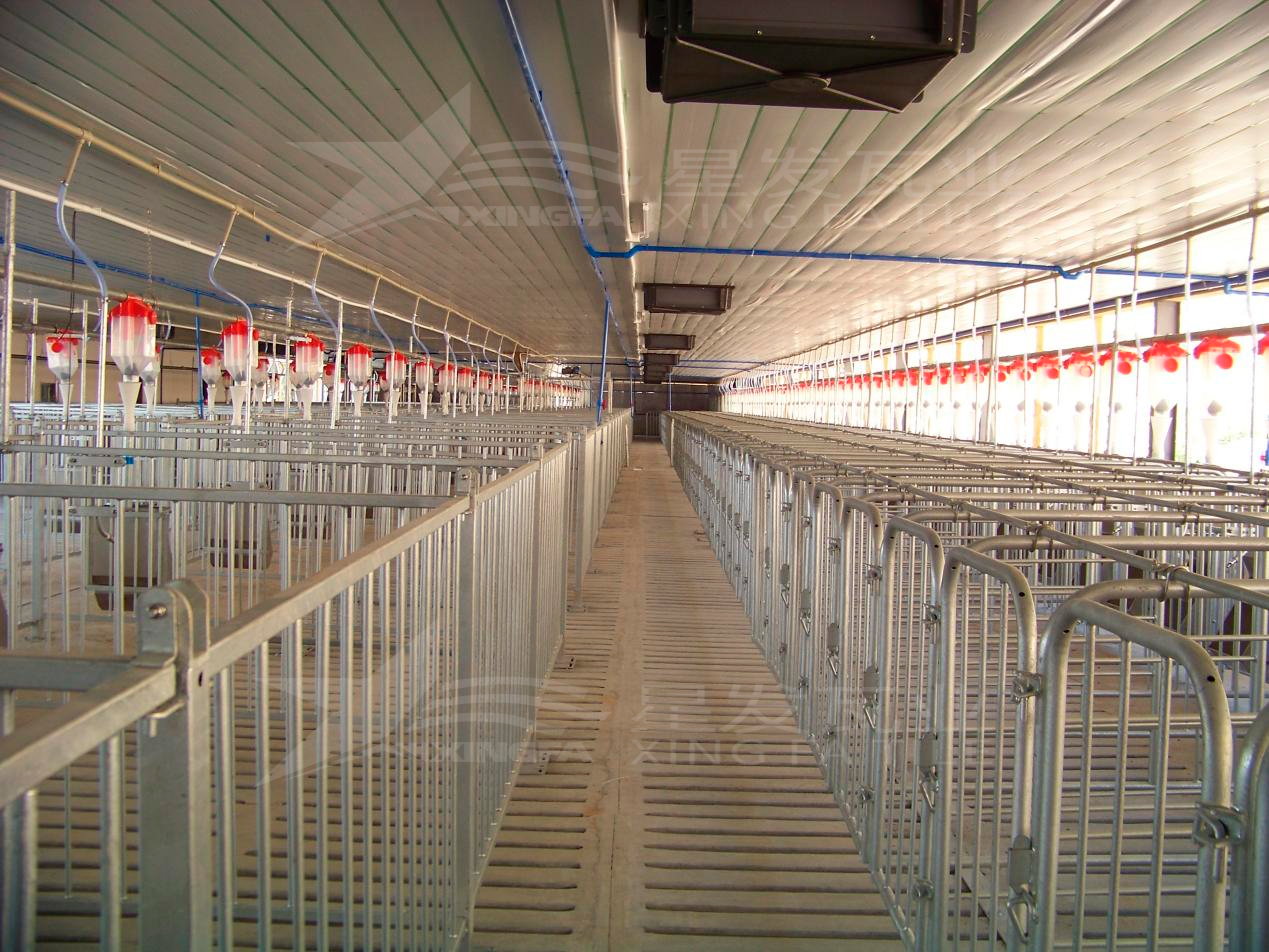 高溫來襲，養(yǎng)殖場安裝樹脂瓦，為小動物營造避暑勝地