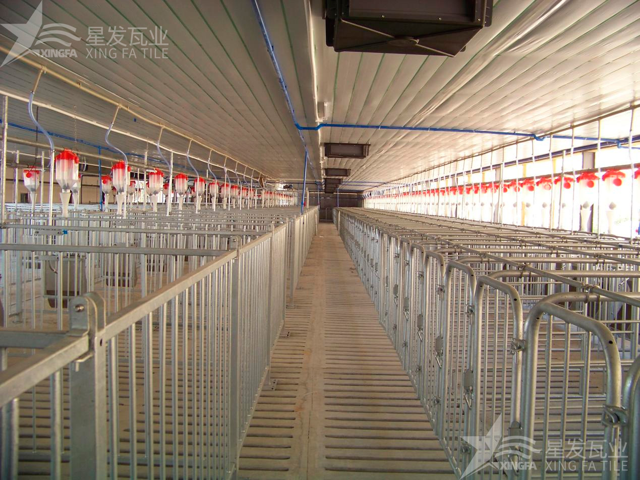 炎炎夏日即將來臨，為什么養(yǎng)殖場越來越多地選擇PVC瓦？