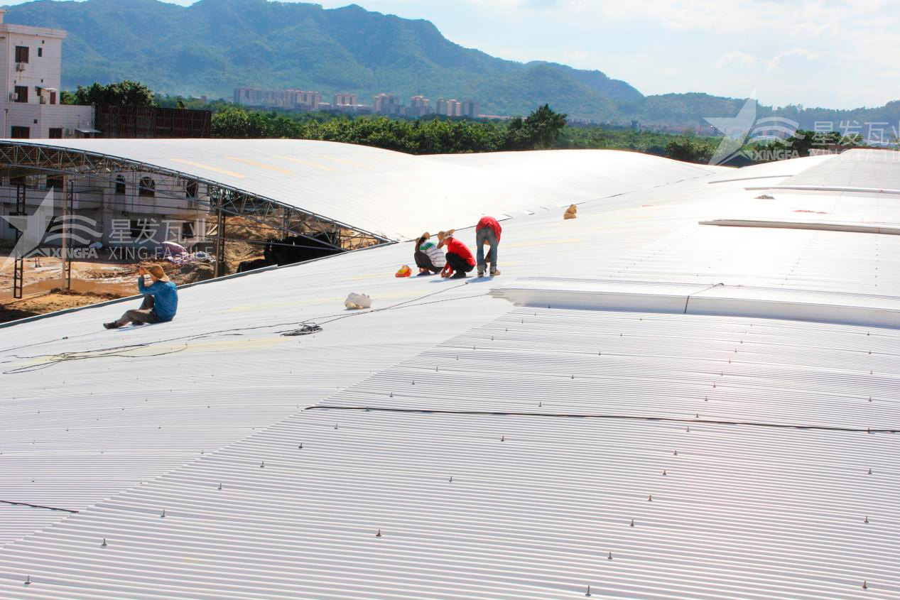 樹脂瓦漏水？不要慌，這些方法能夠快速解決問題！