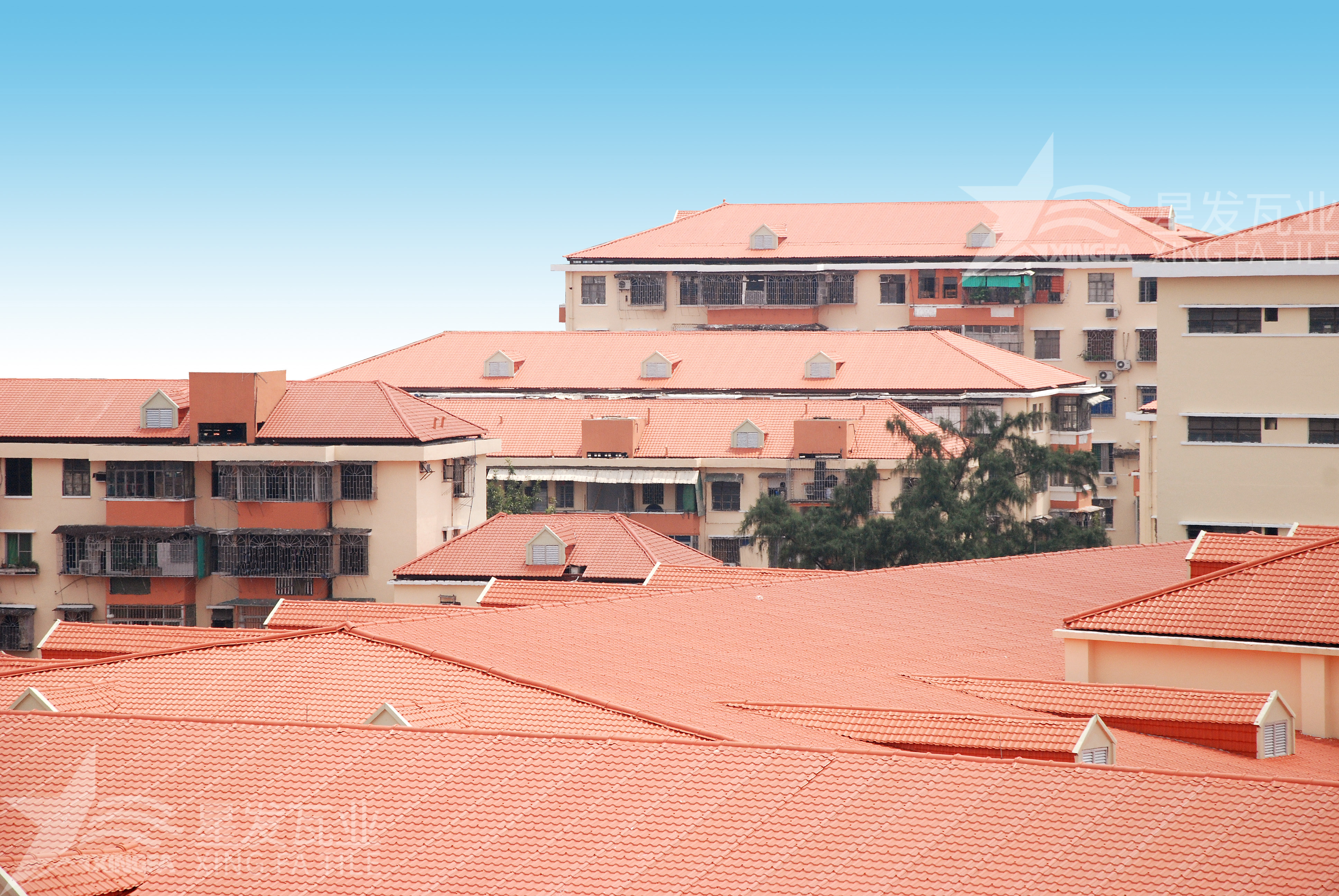 揭秘！居然還有人不知道合成樹脂瓦多少錢一方